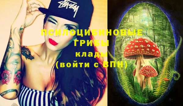 бутират Коряжма