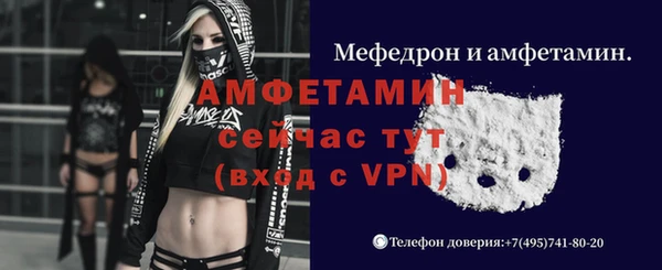стаф Корсаков