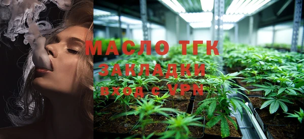 стаф Корсаков