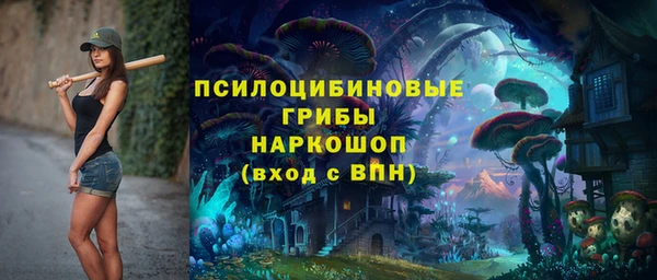 стаф Корсаков