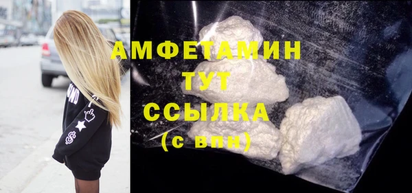 стаф Корсаков